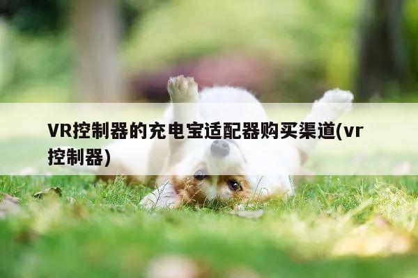 VR控制器的充电宝适配器购买渠道(vr 控制器)【德赢官方】