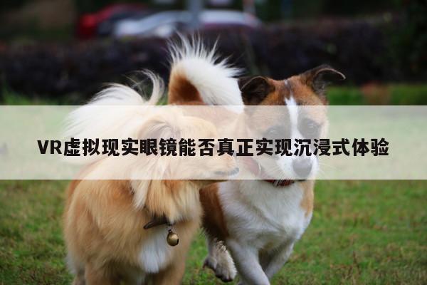 VR虚拟现实眼镜能否真正实现沉浸式体验：德赢vwin060