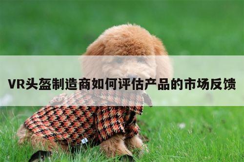 VR头盔制造商如何评估产品的市场反馈【德赢vwin399】